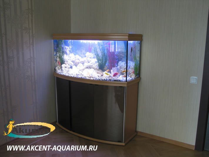 Акцент-аквариум,аквариум 400 литров с гнутым передним стеклом